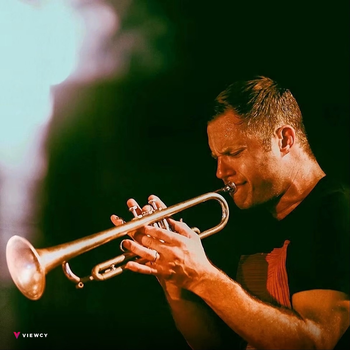 PETER EVANS SEXTET - Close Up