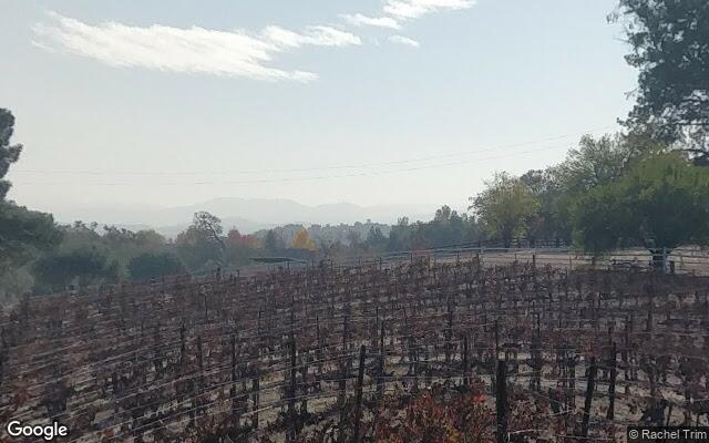 Castoro Cellars