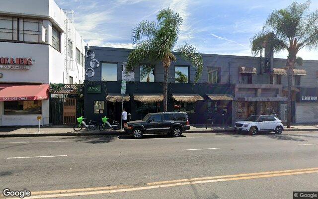 Jungle Hollywood